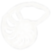 logo bright copy_edited.png