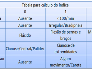 Teste de Apgar...afinal o que é?