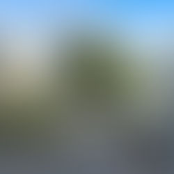 136 Huron Ave, Cambridge triple-decker