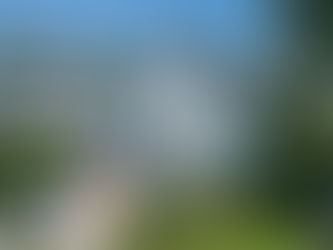 April Real Estate Reality Check | KW Advice