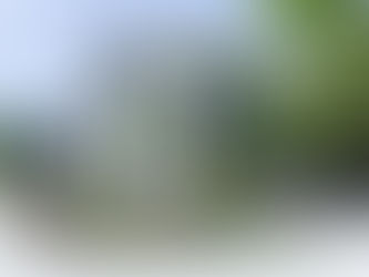 Visiting Properties with COVID Precautions