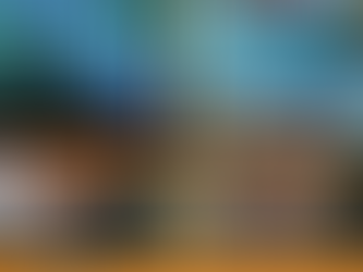 Concerts at the Condon Shell | Fab4 Summer 2023