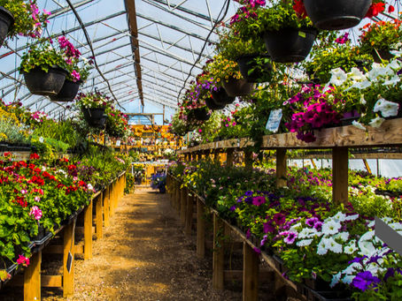Fab4 Local Recommendations | Georgetown, MA