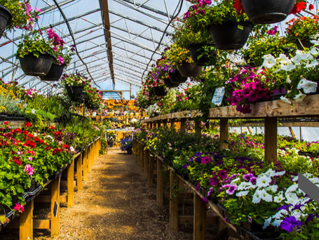 Fab4 Local Recommendations | Georgetown, MA