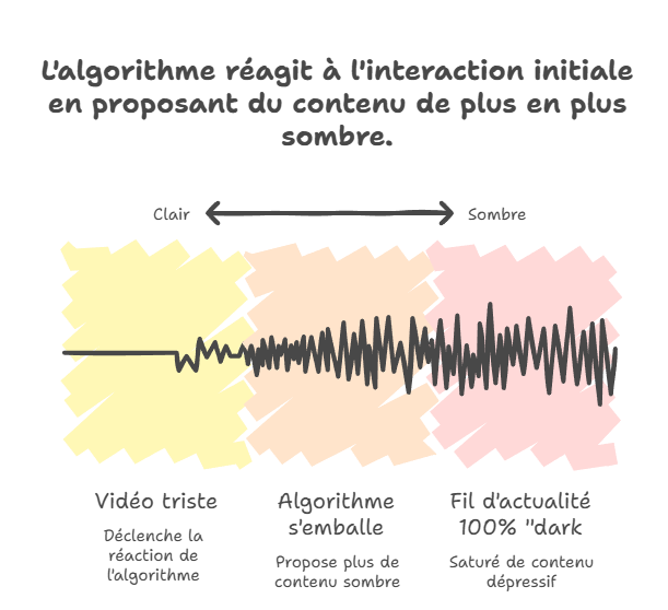 La spirale de l'algorithme TikTok