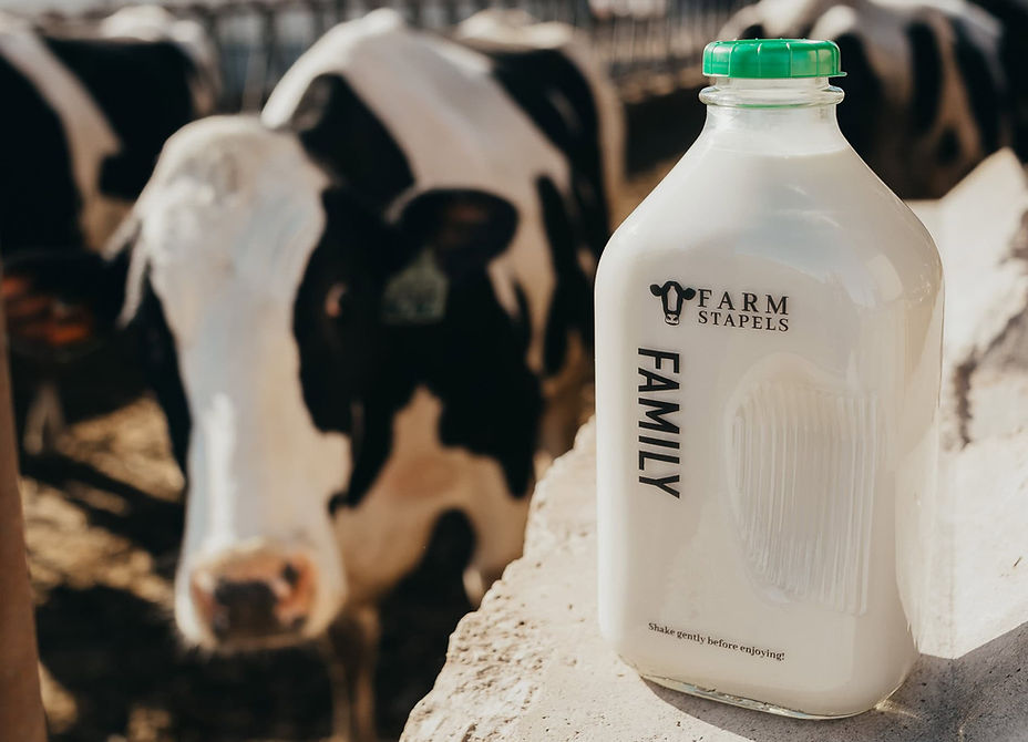 farm stapels milk dairy glass bottled local cedar grove with cow_edited.jpg