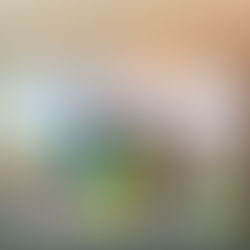 CanTone非常榮幸獲香港社會服務聯會（社聯）頒發「商界展關懷2025」嘉許！❤️✨