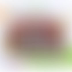 CanTone 很高興於去年6月10日為香港基督教女青年會趣沂幼稚園的非華語學生舉辦了一連兩場父親節主題中文班!💙👨👦✨讓非華語幼兒在輕鬆愉快的氛圍中,學習如何用中文表達對爸爸的愛與感謝☺️