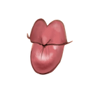 Boca Caro