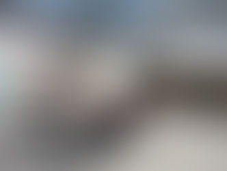 De dónde vengo, a dónde voy I: autodescubrimiento y habilidades laborales