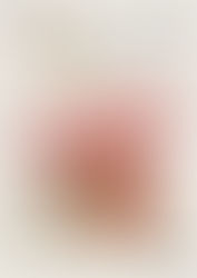 Un domingo diferente que dejó huella 🎶✨