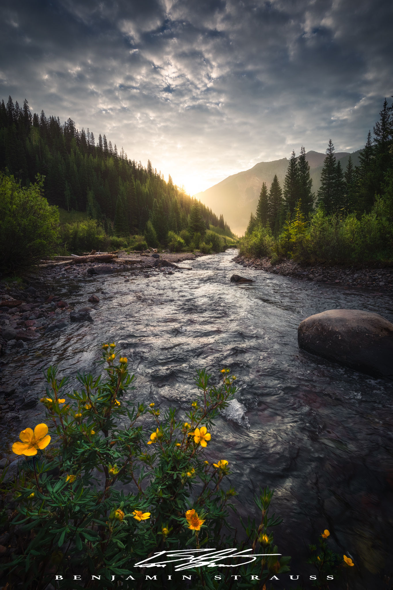 What a Way to Start the Day