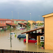 Natural Disaster- Flood.jpg