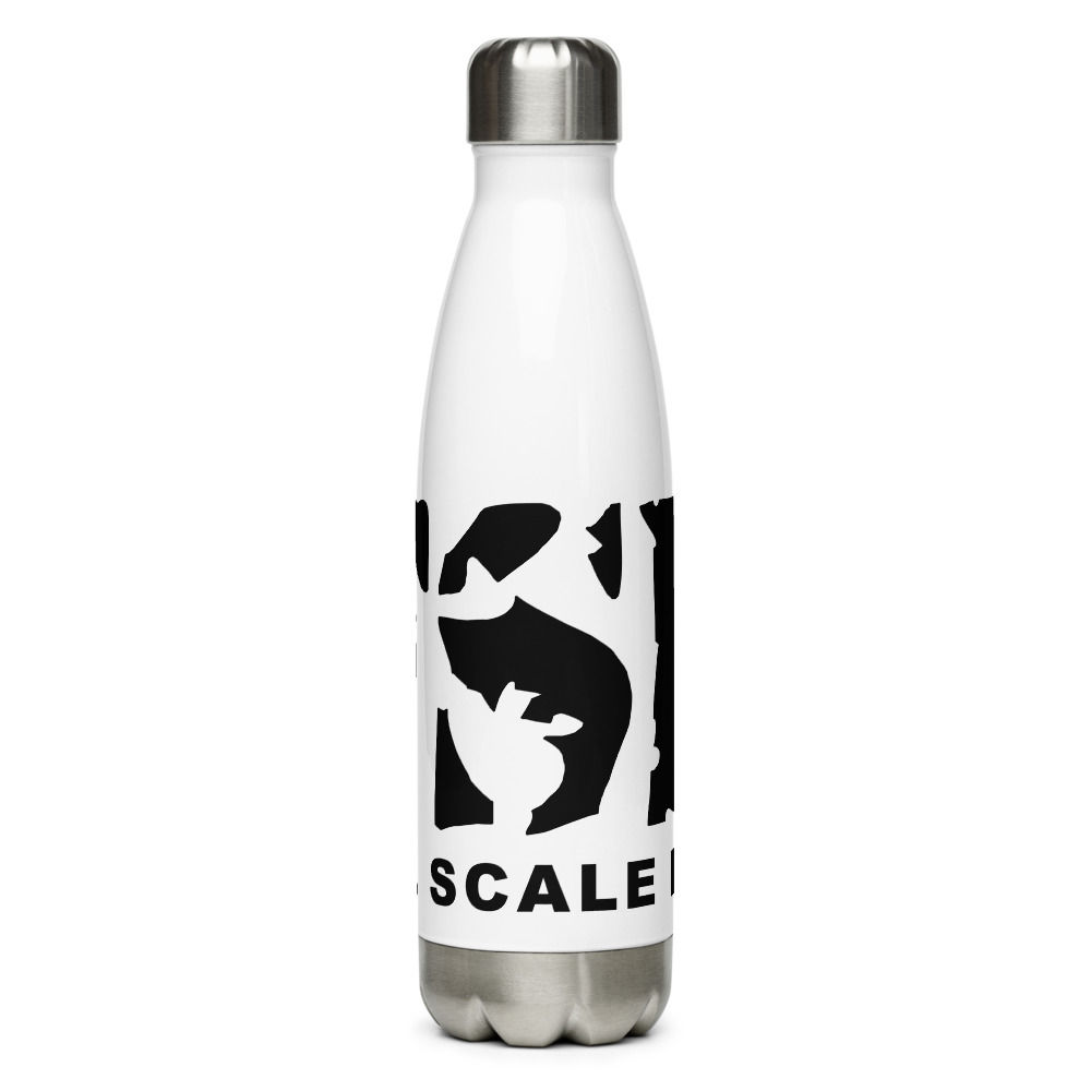 Stainless Steel Water Bottle