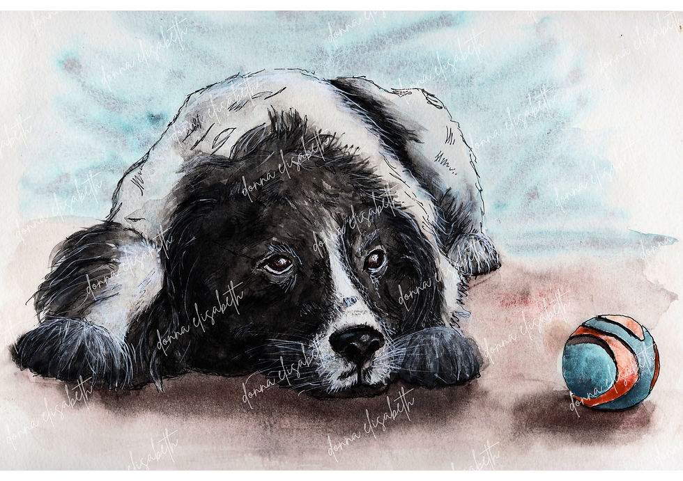 Your Pet - Custom Painting