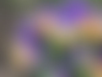 4月10日|新発田市|A型事業所|放課後デイサービス|もも