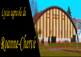 ROANNE LYCEE