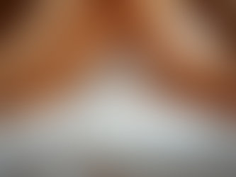 The Ultimate Guide to Choosing the Right Insulation for Your Home