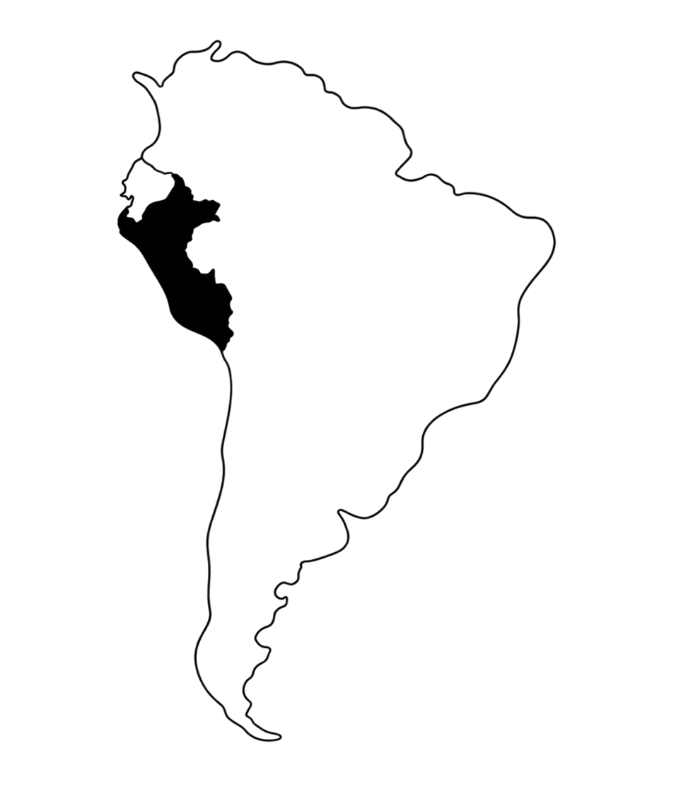 ChatGPT Image Aug 11, 2026, 01_24_48 PM.png