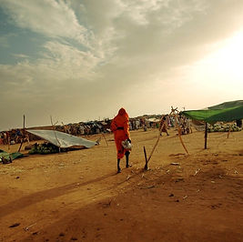 Sudan signs peace deal with rebel groups from Darfur