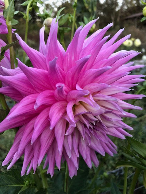 Thumbnail: Mingus Wesley