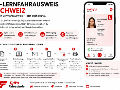 E-Lernfahausweis Kanton Zürich