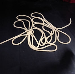 Credit photo Simon loiseau_edited.jpg