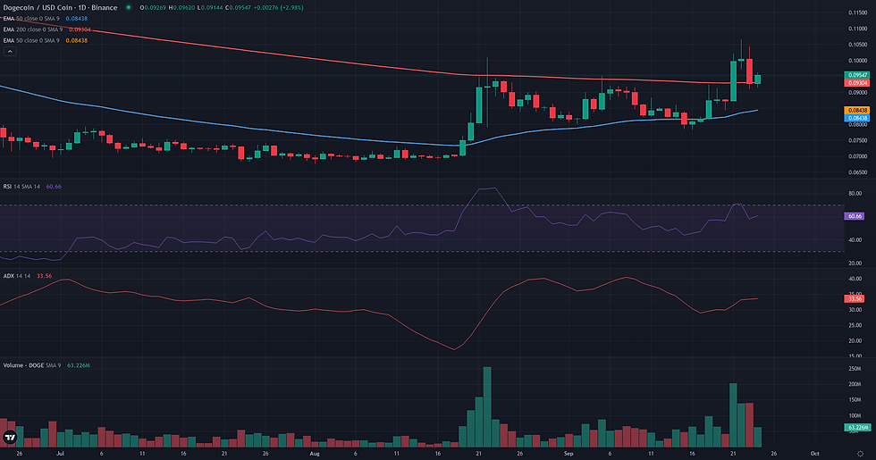 DOGE USDC daily continuation technical chart for DOGE/USDC range rebound