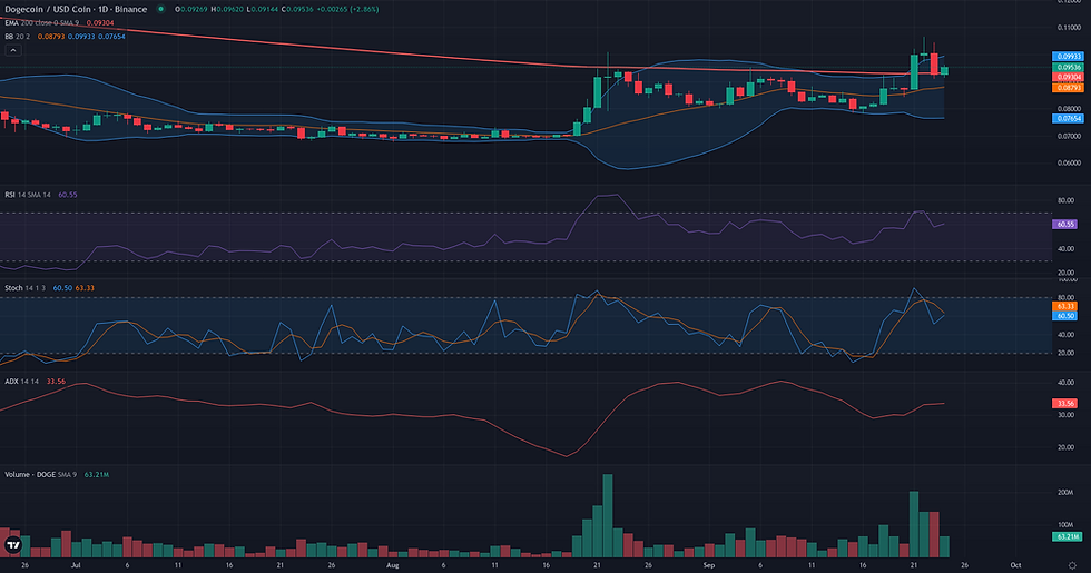 DOGE USDC daily range and rebound technical chart for DOGE/USDC range rebound