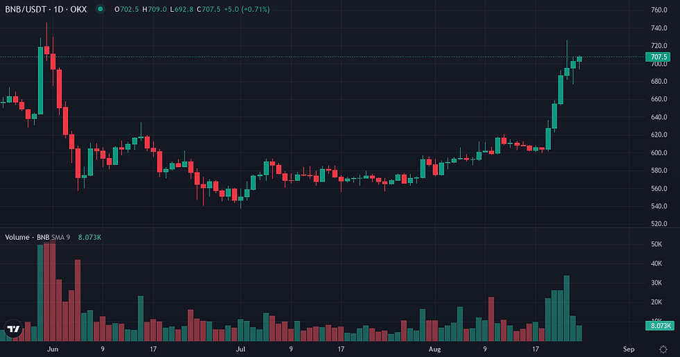 BNB 90-day price and volume chart — BNB market dynamics
