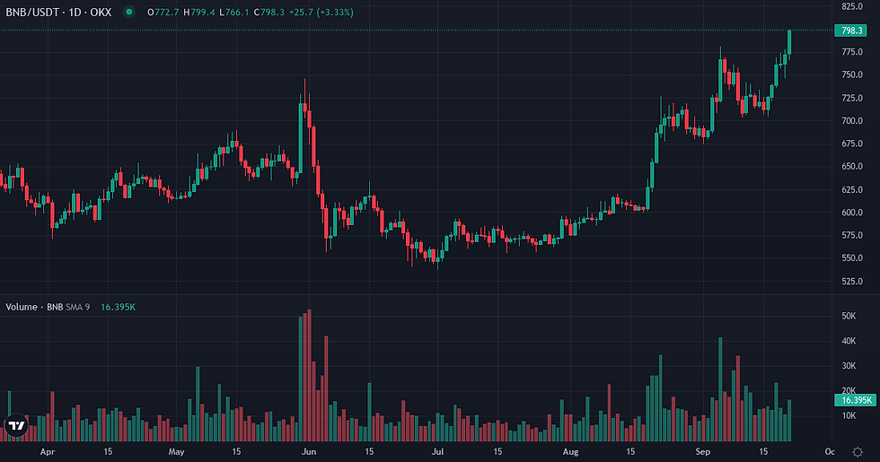 BNB 6-month price and volume chart — BNB market dynamics