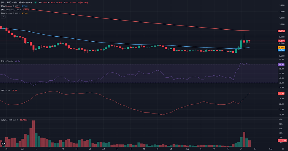 SUI USDC daily continuation technical chart for SUI breakout analysis