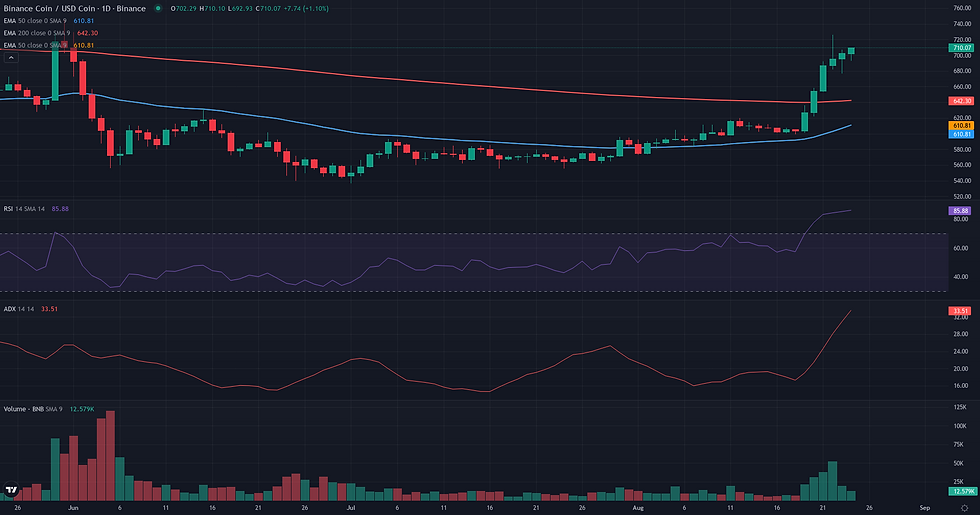 BNB USDC daily continuation technical chart for BNB bullish continuation analysis