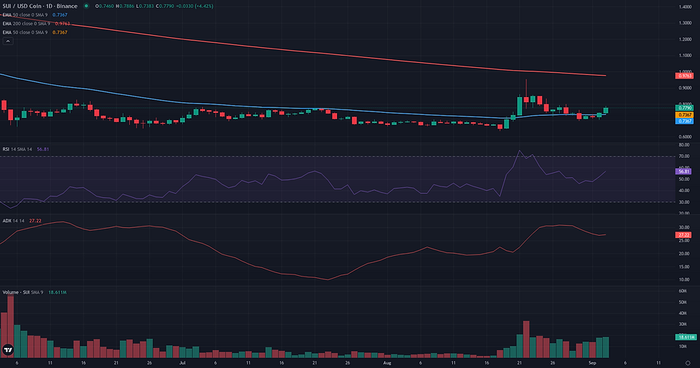 SUI USDC daily continuation technical chart for SUI continuation analysis