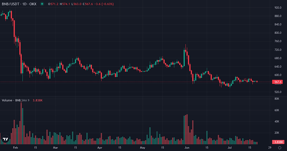 BNB 6-month price and volume chart — BNB market dynamics