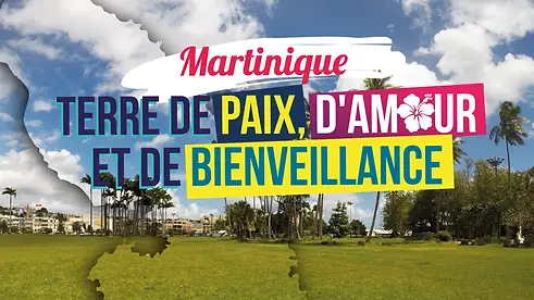 MDM_BAN_ECRAN_ECRAN copie.webp