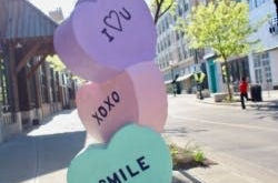 6/13/2026 Smile It Your Day!