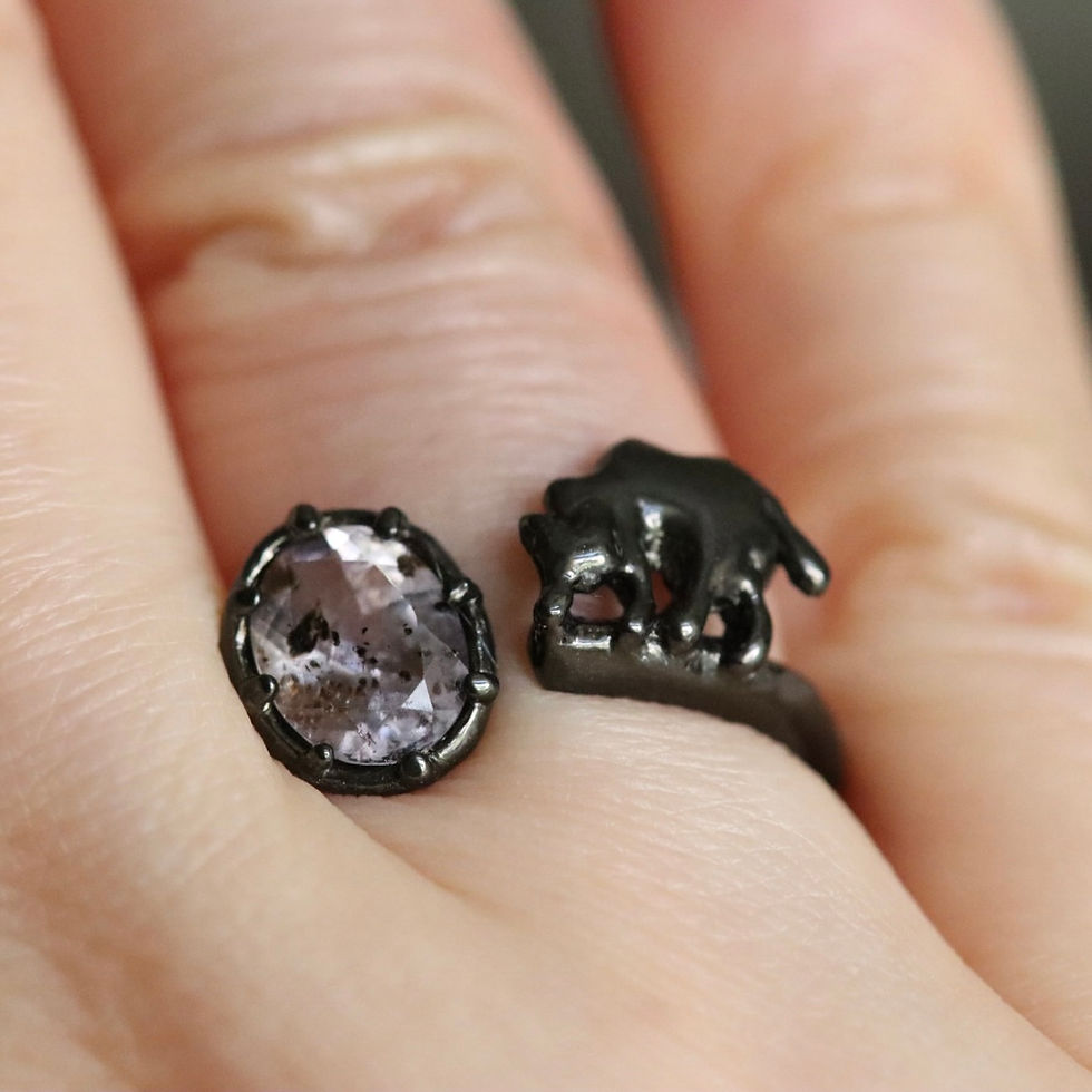 サムネイル： ゲーサイトinアメシストとやんのか猫リング　silver925