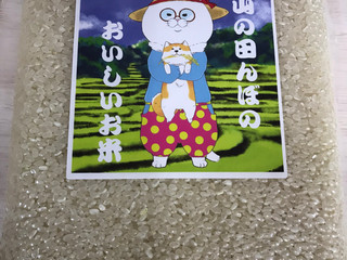 お米始めました♪