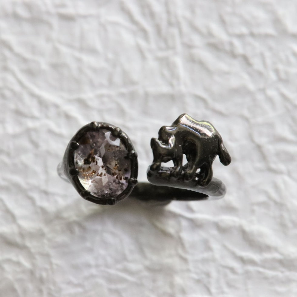 サムネイル： ゲーサイトinアメシストとやんのか猫リング　silver925