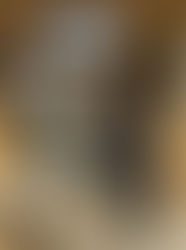 14歳猫のちぃぷぅにまた病気発覚