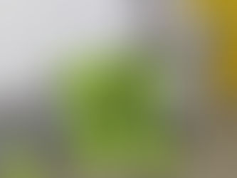 二軸押出機 設置完了