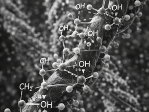 樹脂にセルロースナノファイバーを配合して得られる物性