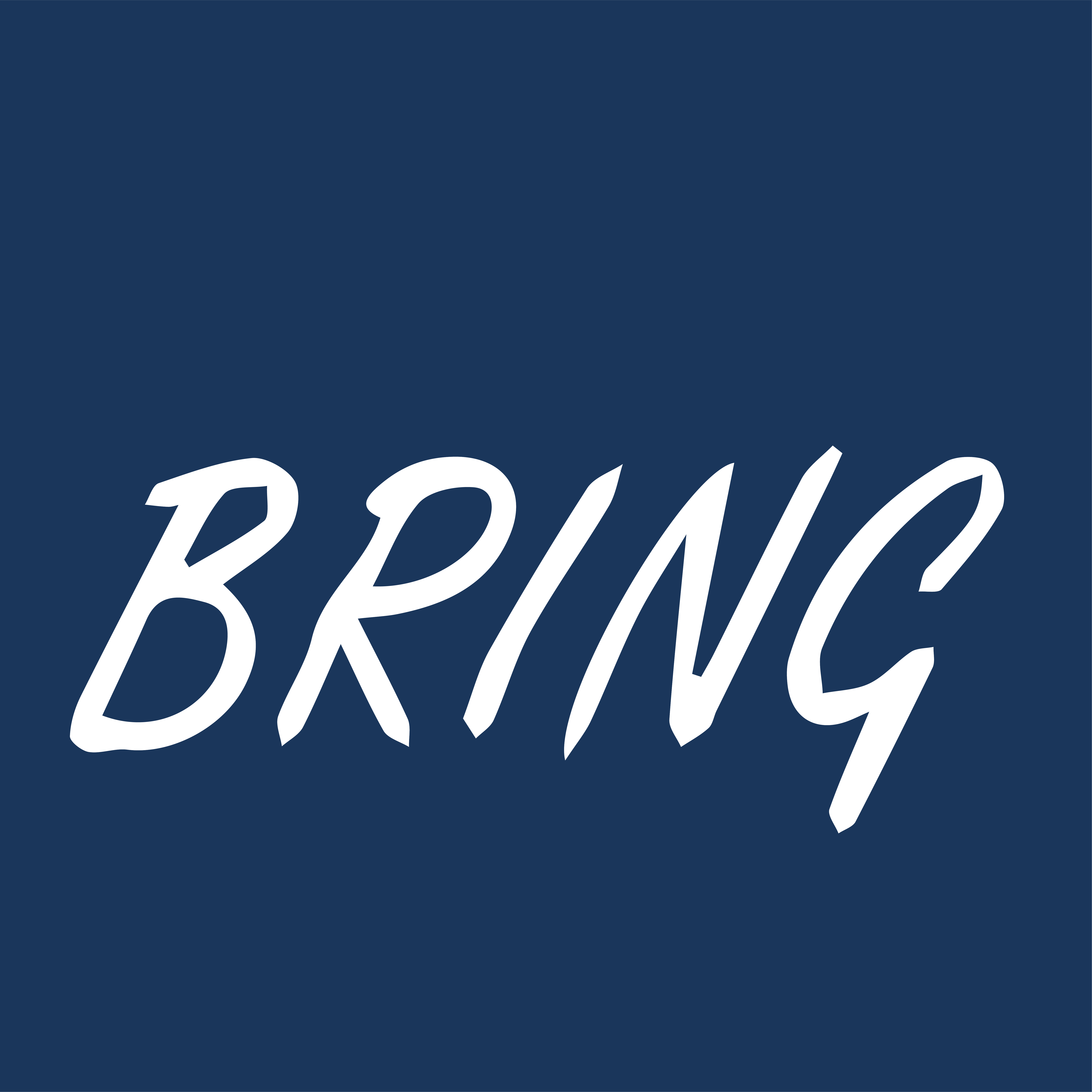 Bonded Warehouse | Bring Logistics | Singapore