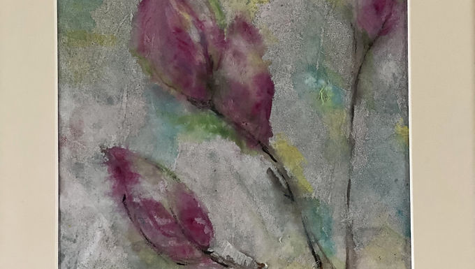 Magnolia