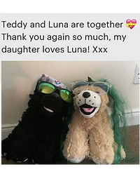 Teddy luna.png