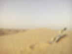 Sandboard negli Emirati