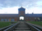 Binari di Birkenau