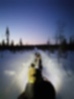 Slitte con i cani in mezzo alla natura al tramonto