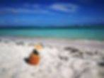 Pineapple in riva al mare
